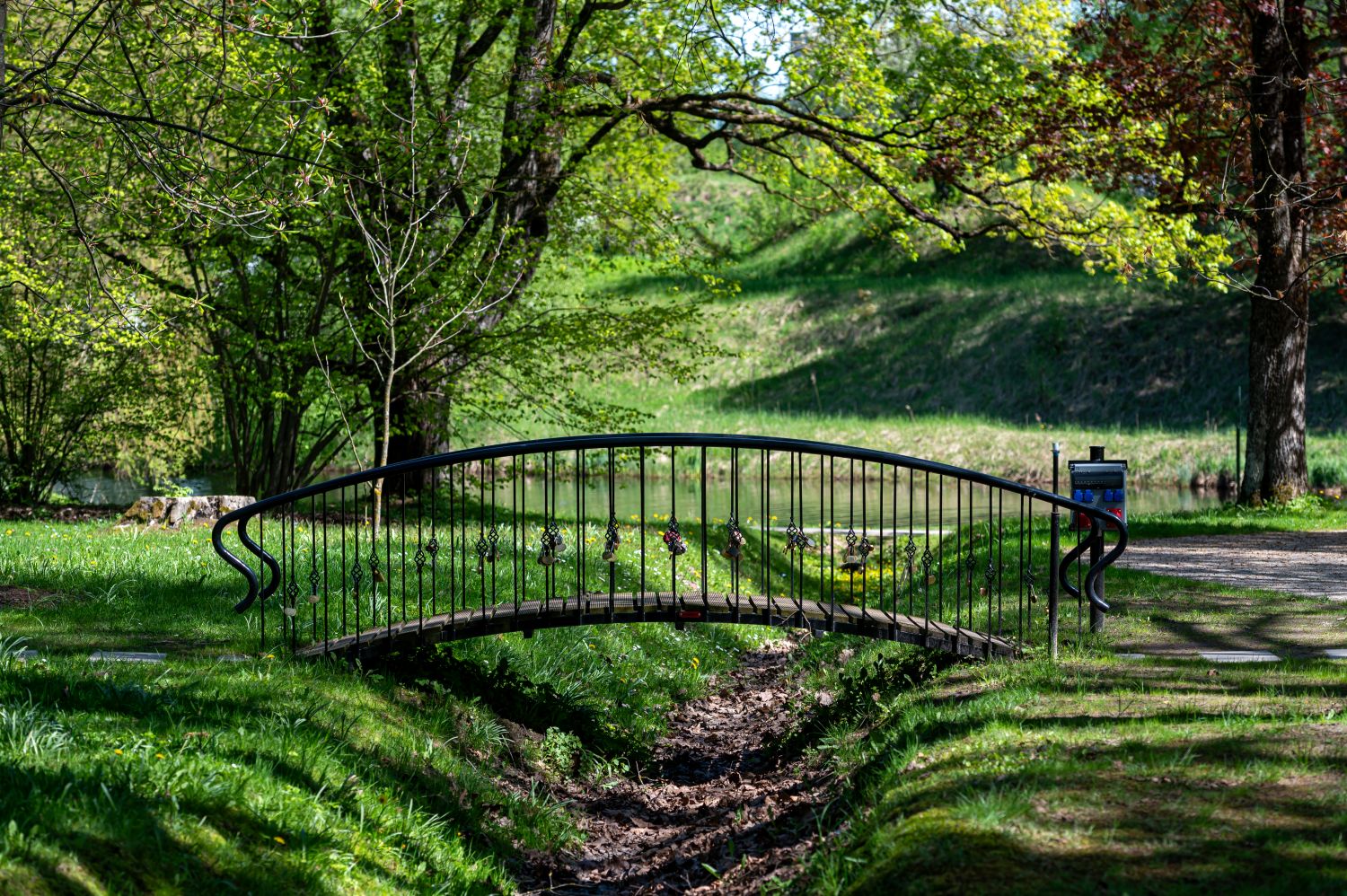 bridge in park